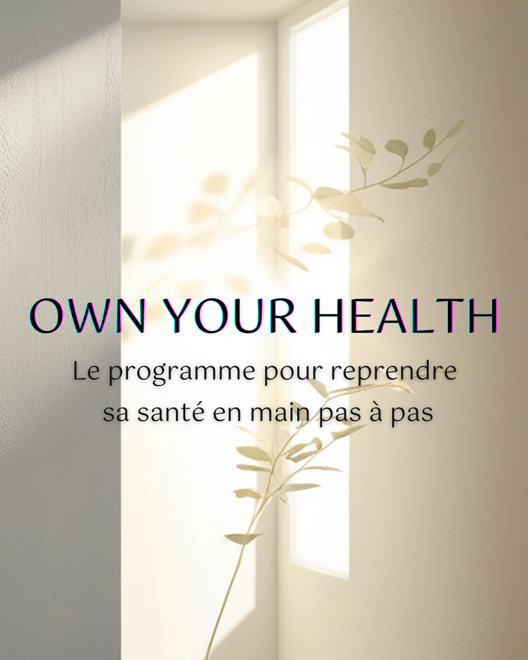 Programme santé en ligne